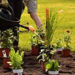 DEP Horticulture et jardinerie - Diplôme d'Études Professionnelles