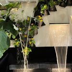 639194790_1496981595764862_5924193524930869537_n