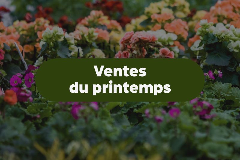 venteprintemps-bloc-2026